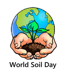 World Soil Day