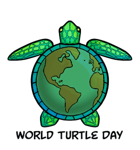 World Turtle Day